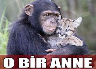 NE DE OLSA O BİR ANNE