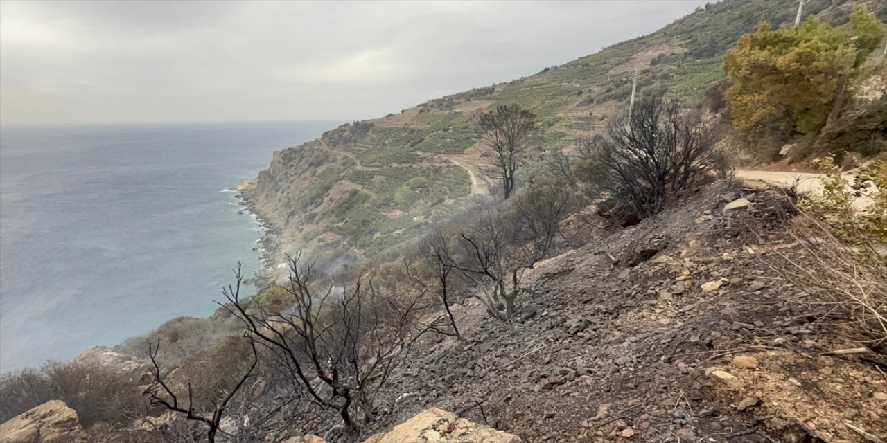 Antalya Gazipaşa’da Muz Bahçelerinde Çıkan Yangın Söndürüldü: 50 Dekar Alan Zarar Gördü