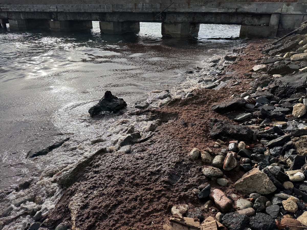 Tekirdağ'da poyraz nedeniyle sahilin bir kısmında kırmızı yosun birikti