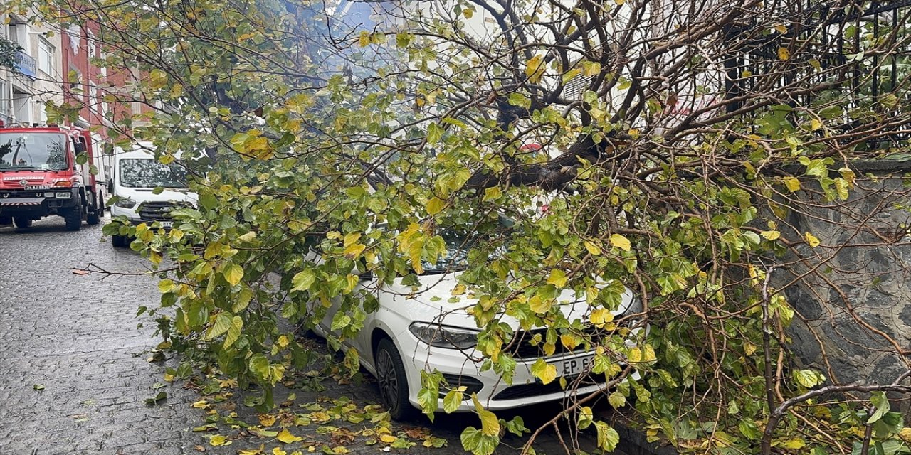 Beyoğlu'nda yağış sonrası ağaç park halindeki otomobilin üzerine devrildi