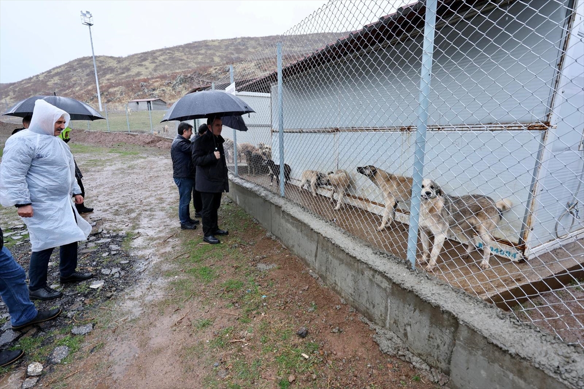 Bitlis Valisi Karakaya hayvan bakımevindeki kış hazırlıklarını inceledi
