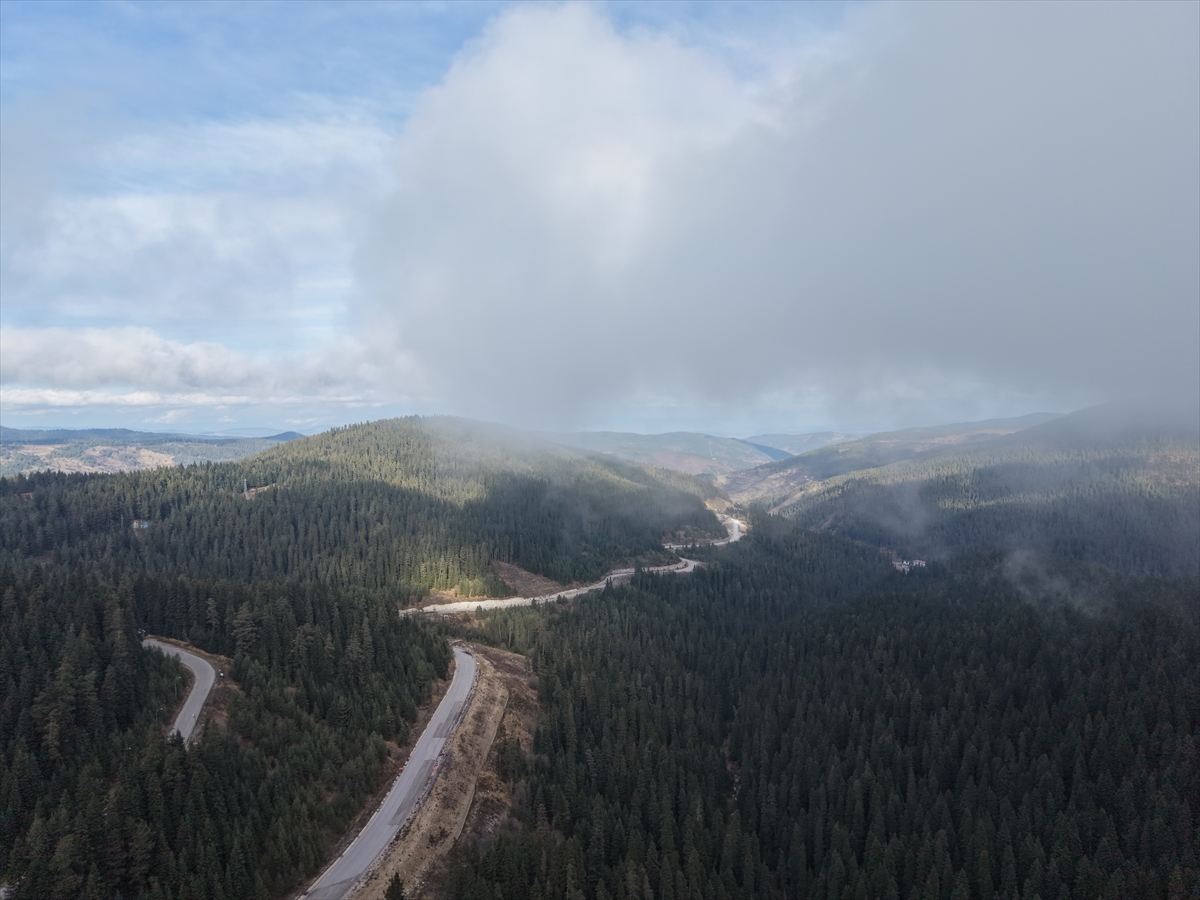 Ilgaz'da çam ağaçlarıyla bütünleşen sis dron ile görüntülendi
