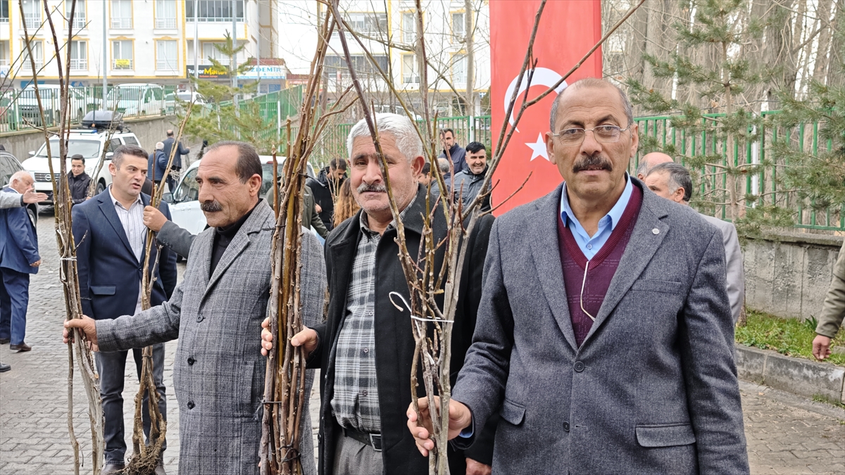 Bitlis'te çiftçilere 12 bin sertifikalı ceviz fidanı dağıtımına başlandı
