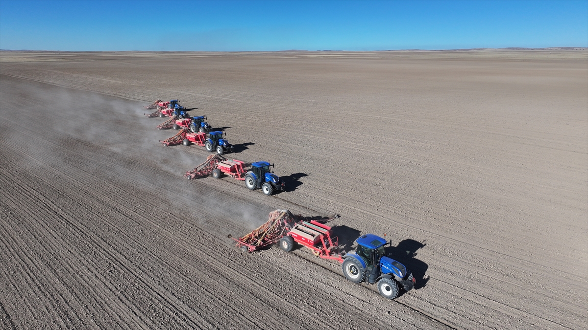 Malya Tarım İşletmesi'nde kuraklığa dayanıklı tohumlarla üretim yapılıyor