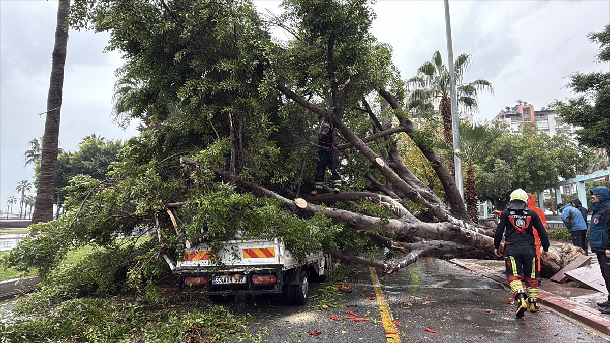 Mersin'de rüzgarın etkisiyle devrilen ağaç seyir halindeki 3 araca zarar verdi