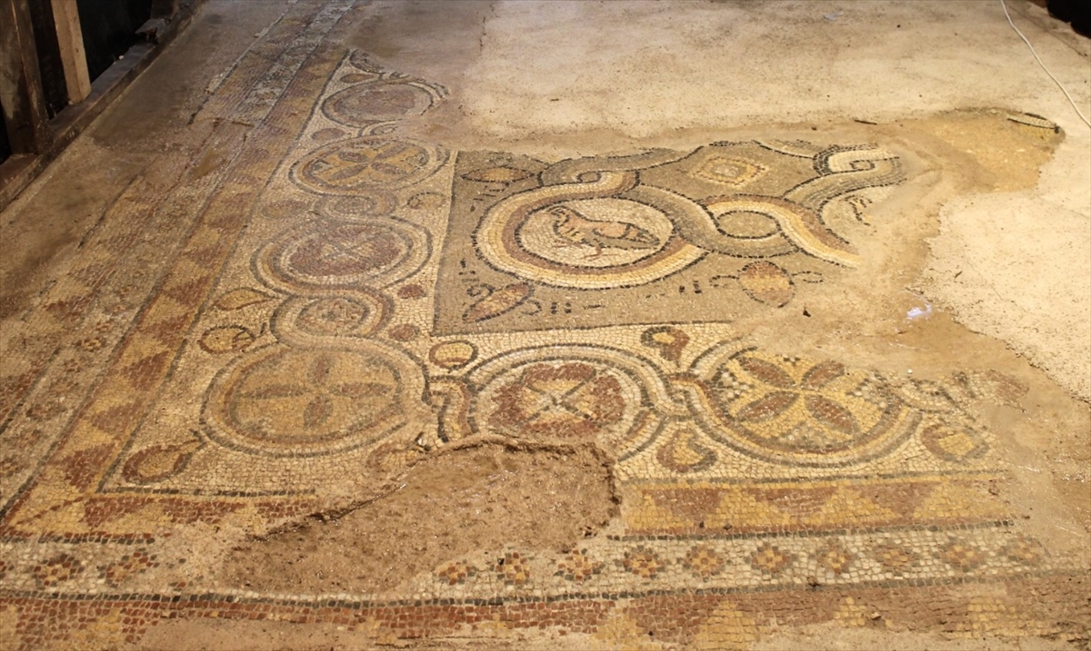 Sinop'ta 1600 yıllık mozaikler oluşturulacak ziyaretçi merkezinde sergilenecek