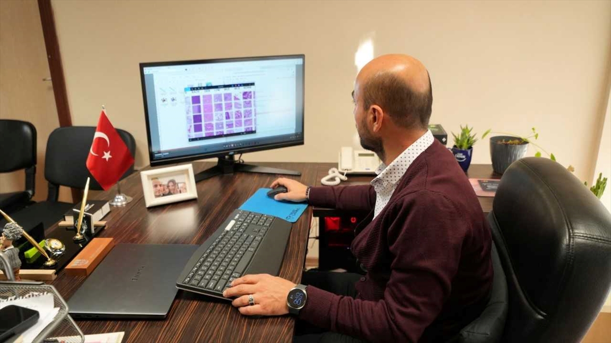 Karabük Üniversitesi'nde geliştirilen yapay zeka sistemi, kolon kanserinde tanıyı hızlandıracak