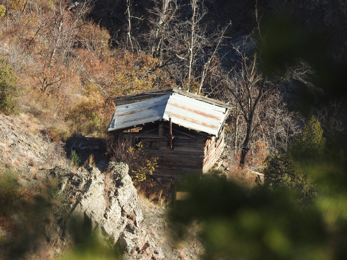 Erzurum'da yaban keçisi avlamaya çalışan 2 kişiye 36 bin 700 lira ceza