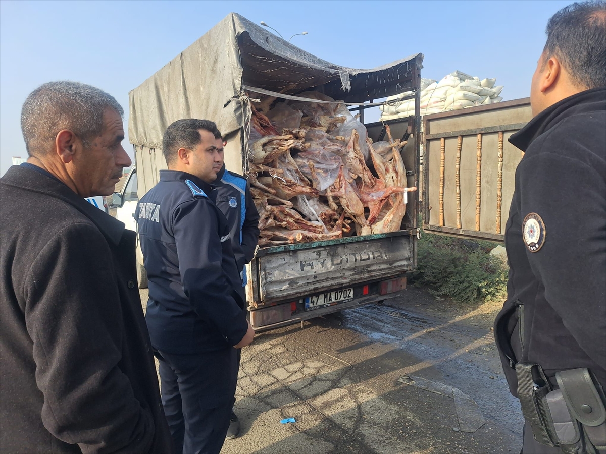 Gaziantep'te 1 ton 900 kilogram bozulmuş et imha edildi