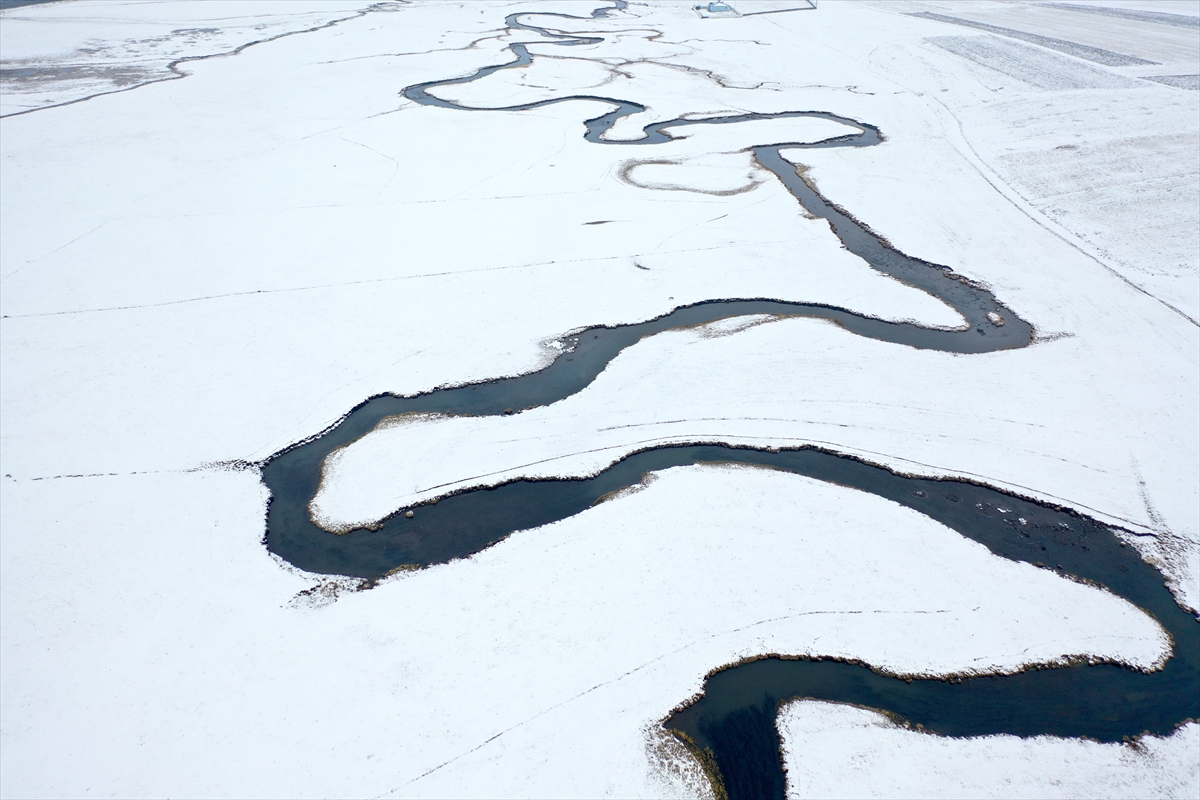 Kışın donmayan ve göz kamaştıran menderesler hayvancılığa katkı sağlıyor