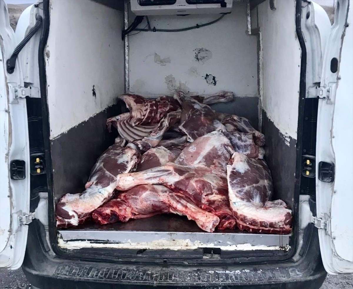 Kırşehir'de 6,1 ton kaçak ve bozulmuş hayvansal ürün ele geçirildi