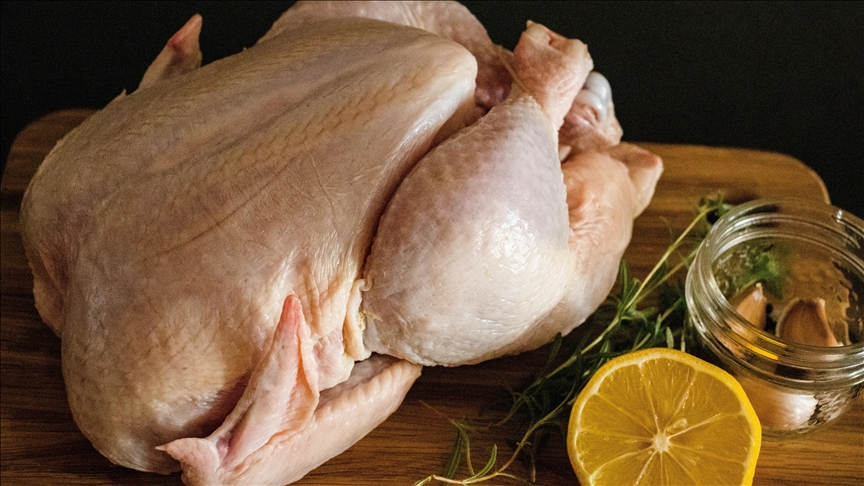 Tavuk eti üretimi artarken, yumurta üretimi geriledi