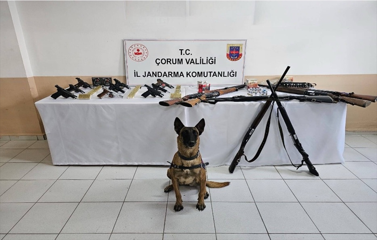 Çorum'da düğünlerde havaya ateş ettikleri belirlenen 11 kişi yakalandı