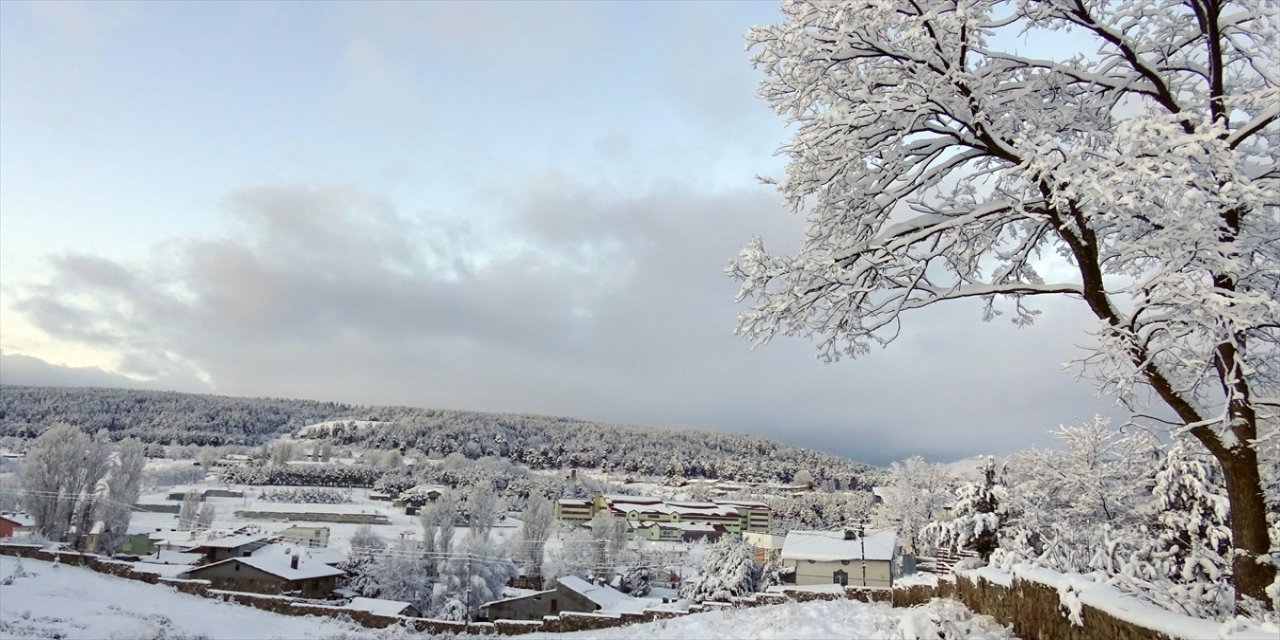 Iğdır’da sis, Kars ve Ardahan’da soğuk hava yaşamı olumsuz etkiliyor