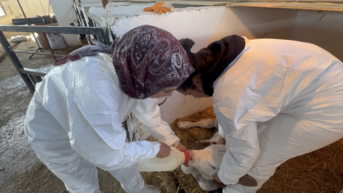 Üniversitenin uygulama çiftliği öğrencilere sahada eğitim imkanı sunuyor