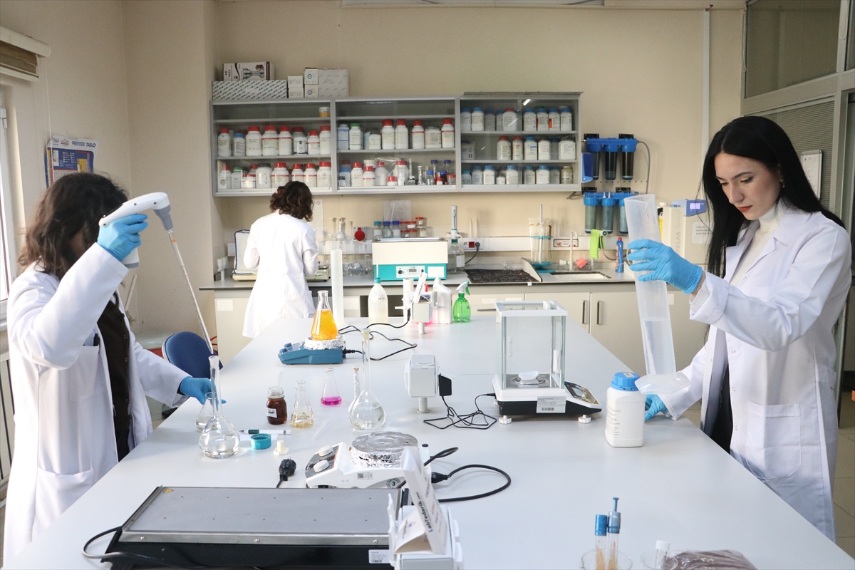 Tekirdağ'da üzüm atığından yüksek değerli tek hücre yağı üretildi