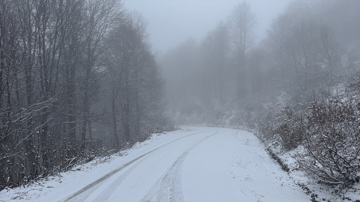 Tokat'ın yüksek kesimleri beyaza büründü