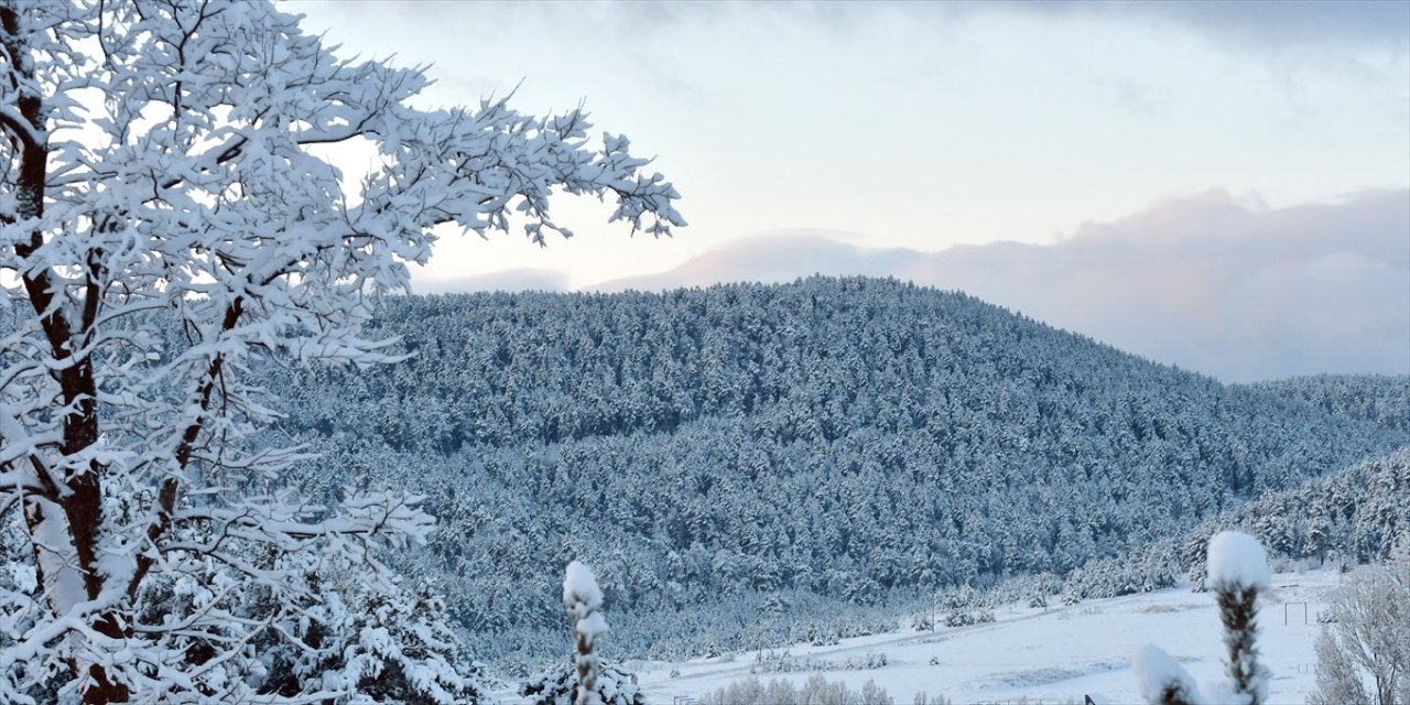 Sarıkamış’ta Karla Kaplanan Sarıçam Ormanları Havadan Görüntülendi.
