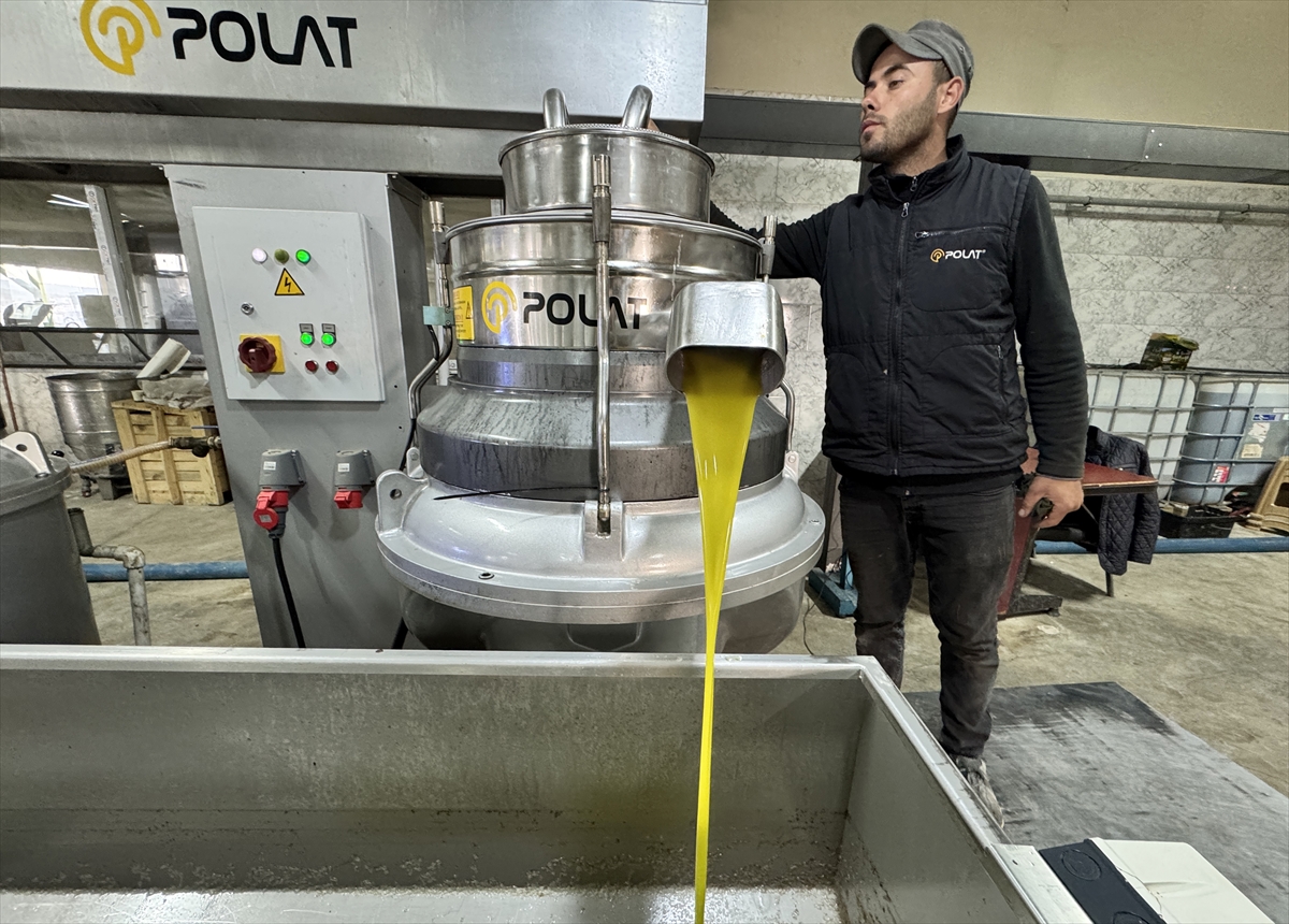 Muhtarın devlet desteğiyle kurduğu zeytinyağı üretim tesisi mahallelinin geçim kaynağı oldu