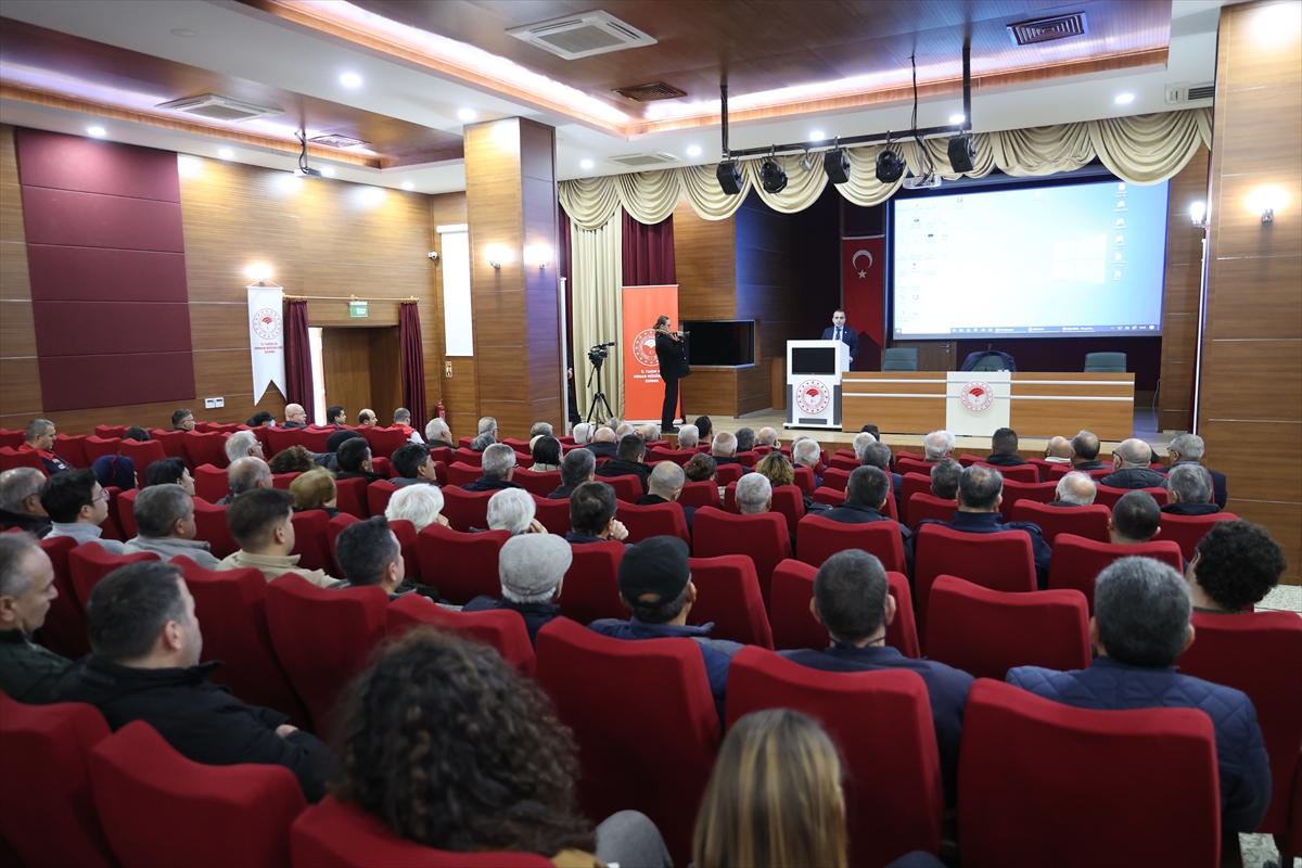 Türkiye'de kışlama döneminde arı ölümleri artıyor