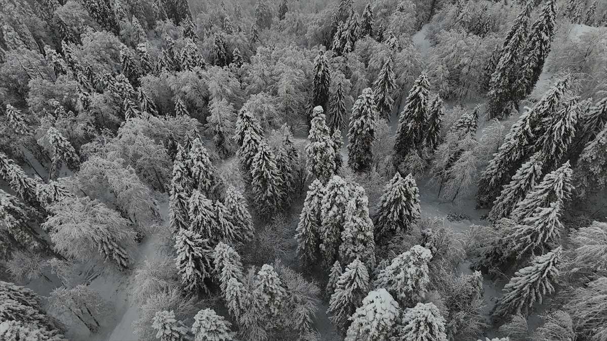 Karadeniz'de kar yağdı