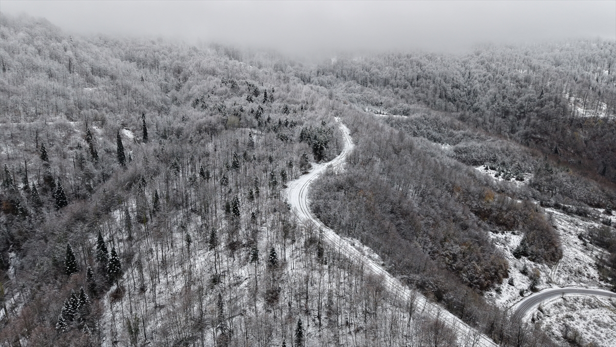 Sinop'ta kar yağışı sonrası ormanlık alanlar dronla görüntülendi