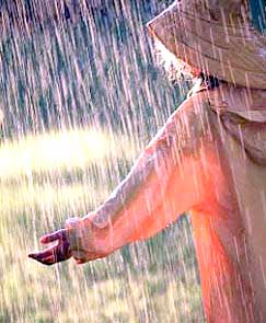 Dikkat! Yağmur geliyor!