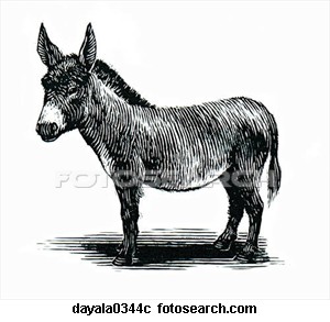 AT VE EŞEK ETİNİ NASIL AYIRT EDERSİNİZ?