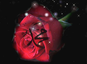 Efendimiz'in bir günü nasıl geçerdi?