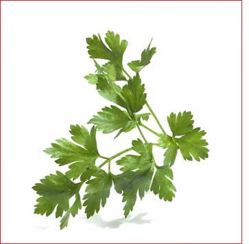 Kemik erimesine birebir