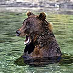 Balıkçılık ağına bakın ne takıldı