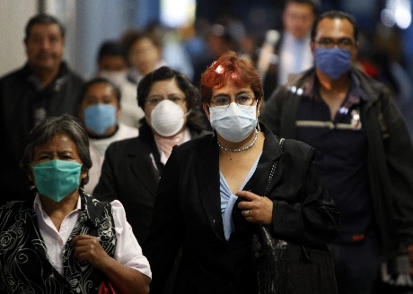 Domuz Gribinden Ölenlerin Sayısı Artıyor