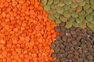 Kırmızı mercimeğe aman dikkat