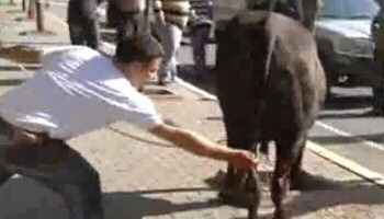 Cani kasaba komik para cezası