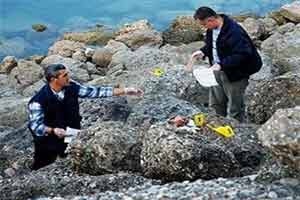 Adana'da akılalmaz vahşet