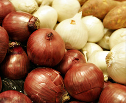 Uzun bir yaşamın sırrını açıklıyoruz