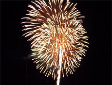 DTP'nin kapanmasını böyle kutladı