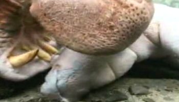 Az kişinin şahit olduğu olaylar