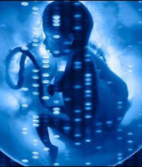 Sadece 99 dolara kökeninizi öğrenin