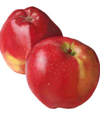 Kronik hastalıklara birebir!