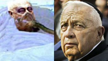 'Beyrut kasabı' diye anılan Şaron komada