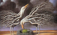 Rüyalar hakkında bilinmeyenler