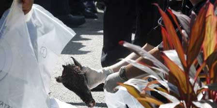 Camiye domuz başı bırakıldı