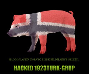 Hacker'lardan Norveç'e cevap
