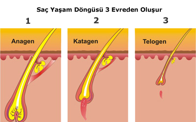 Kanser hastalarına HDC Levent’ten iç açıcı haber!