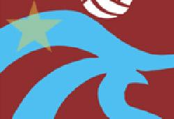 Trabzonspor 1-0 Yenerek Elendi