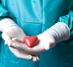 Ve Türkiye'de de Kuruldu