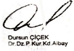 Cuntanın Planı Adım Adım