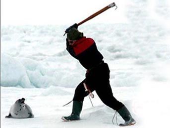 Fok Katillerine Devlet Teşviki