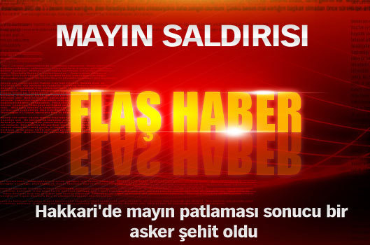 Hakkari'de mayınlı saldırı